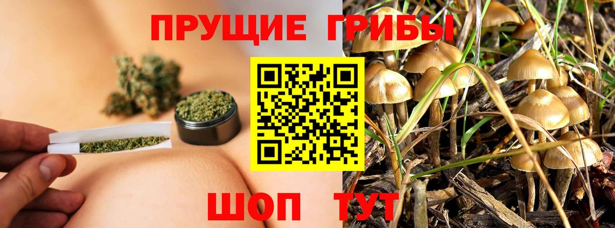 Нарткала  где найти наркотики  Вход с VPN  Галлюциногенные грибы Cubensis 